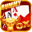 rummy o